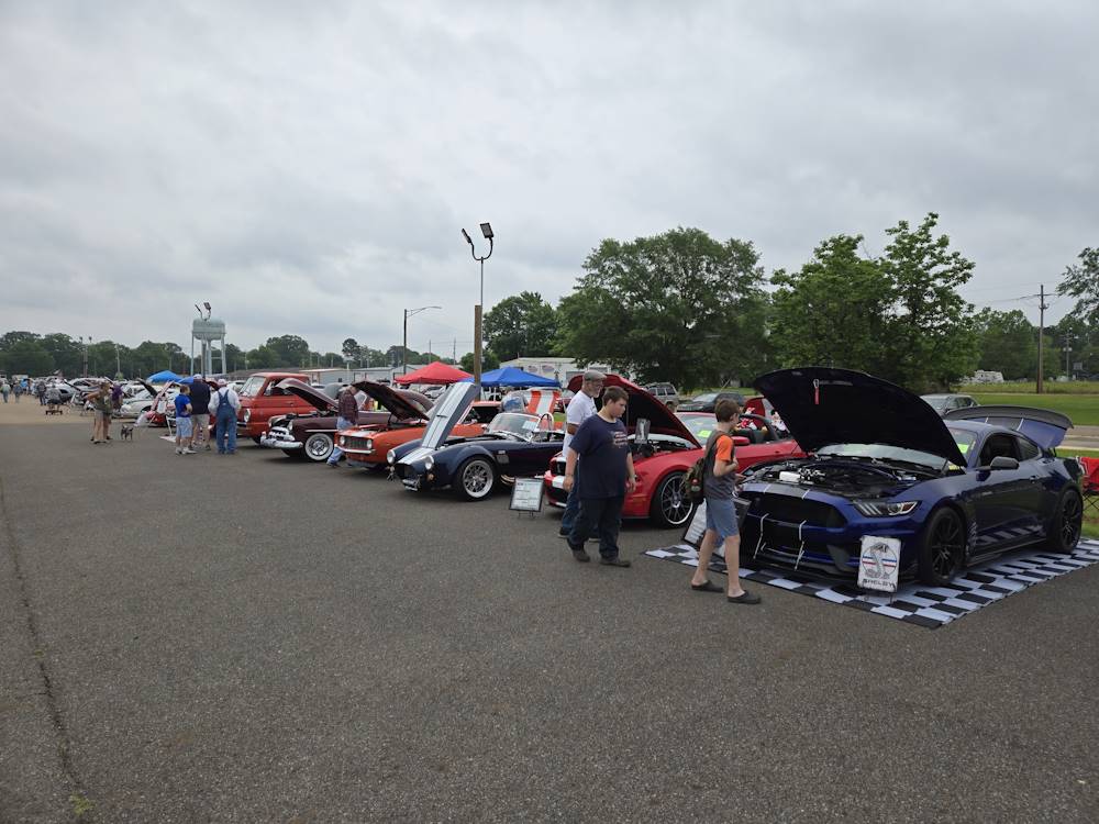 2025 Spring Fest Celebration